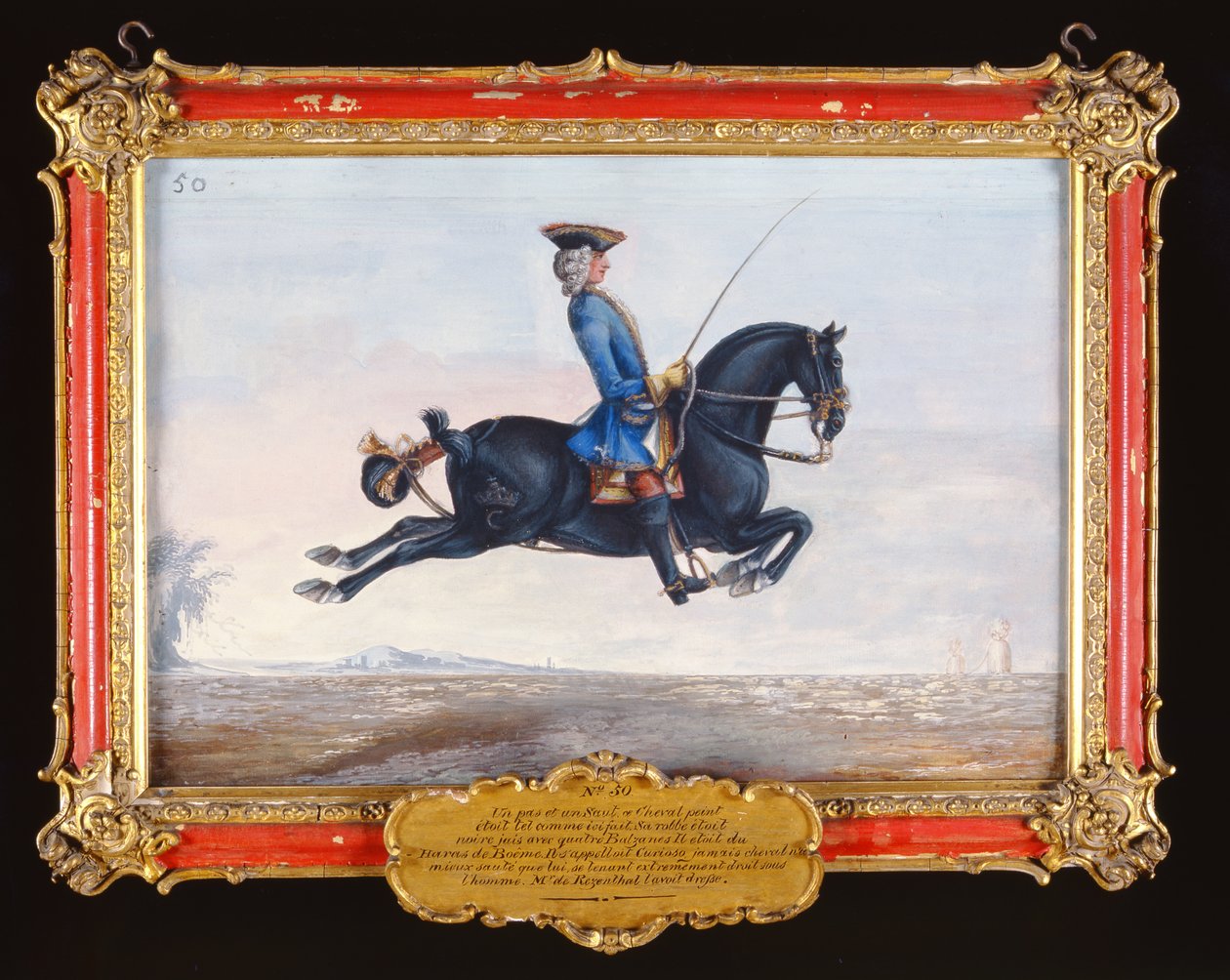 No. 50 A Jet Black Horse Called Curioso Performing a Dressage Movement Called a Capriole by Baron Reis Eisenberg