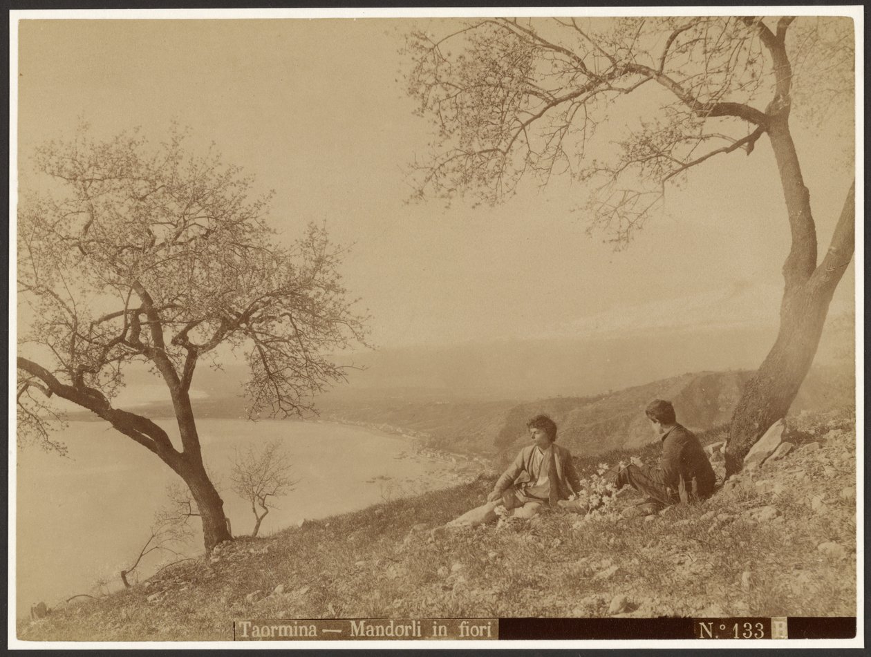 Flowering Almonds, Taormina by Baron Wilhelm von Gloeden