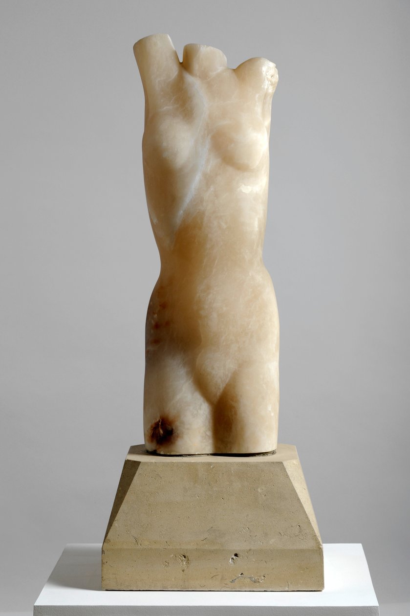 Torso by Barry Hart