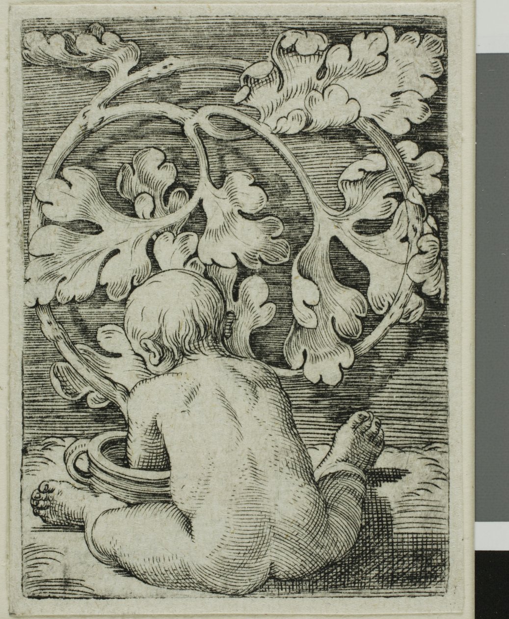 Naked Child, Seen From Back Seated in Front of a Vessel by Barthel Beham