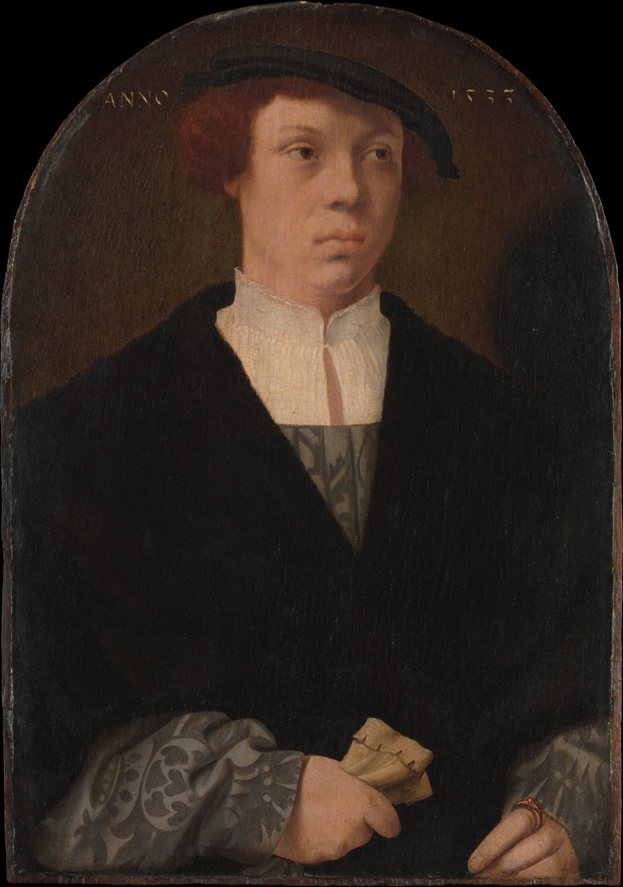 Portrait of a Man, 1533 by Bartholomaeus Bruyn the Elder