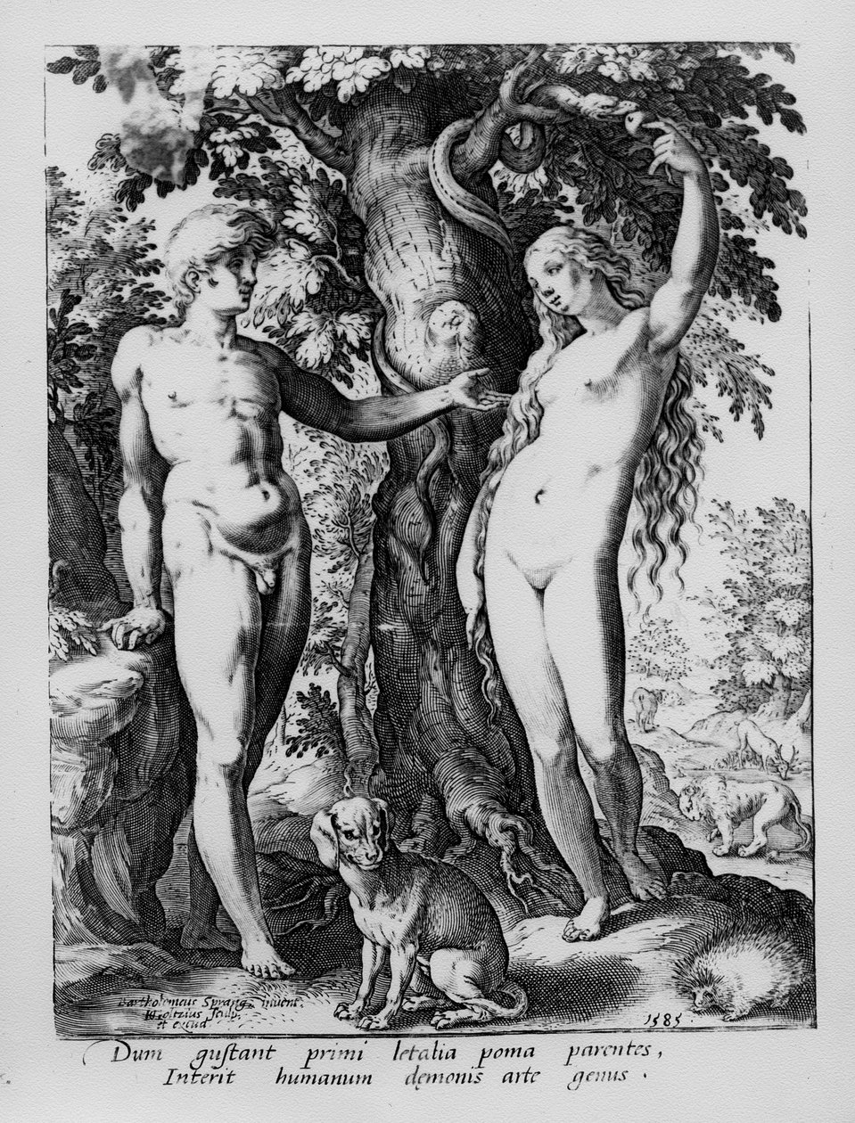 Adam and Eve, engraved by Hendrik Goltzius, 1585 by Bartholomaeus Spranger