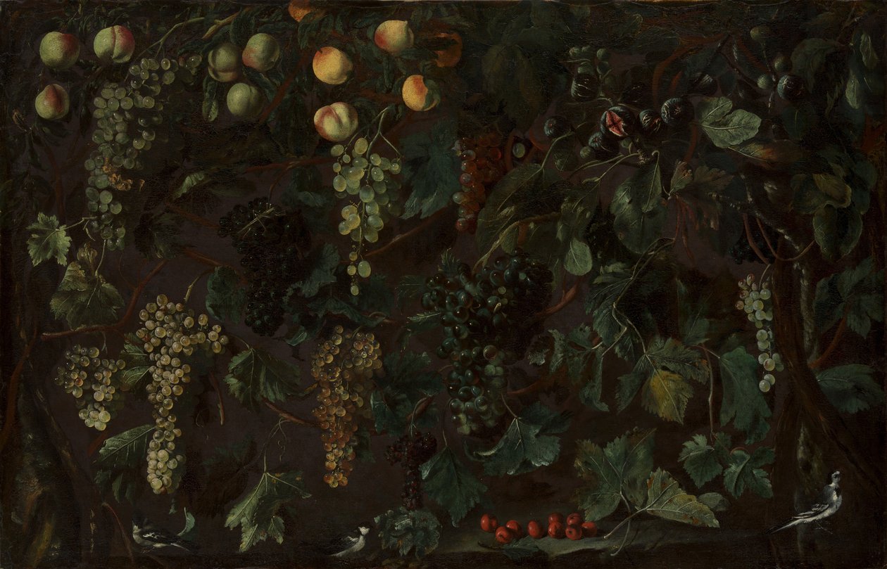 Grape Vines and Fruit, with Three Wagtails by Bartolomeo Cavarozzi