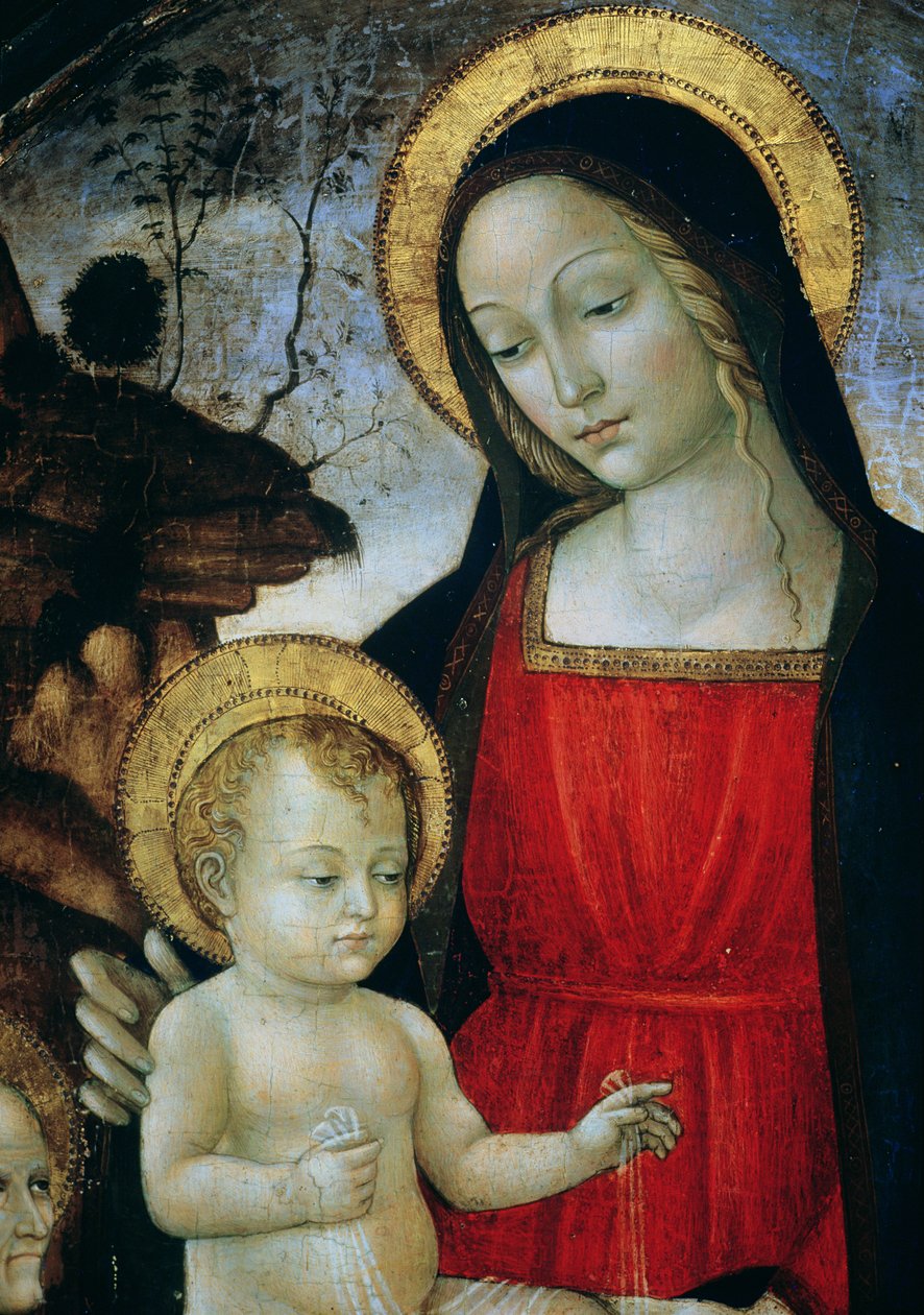 Madonna and Child (detail) by Bartolomeo Montagna