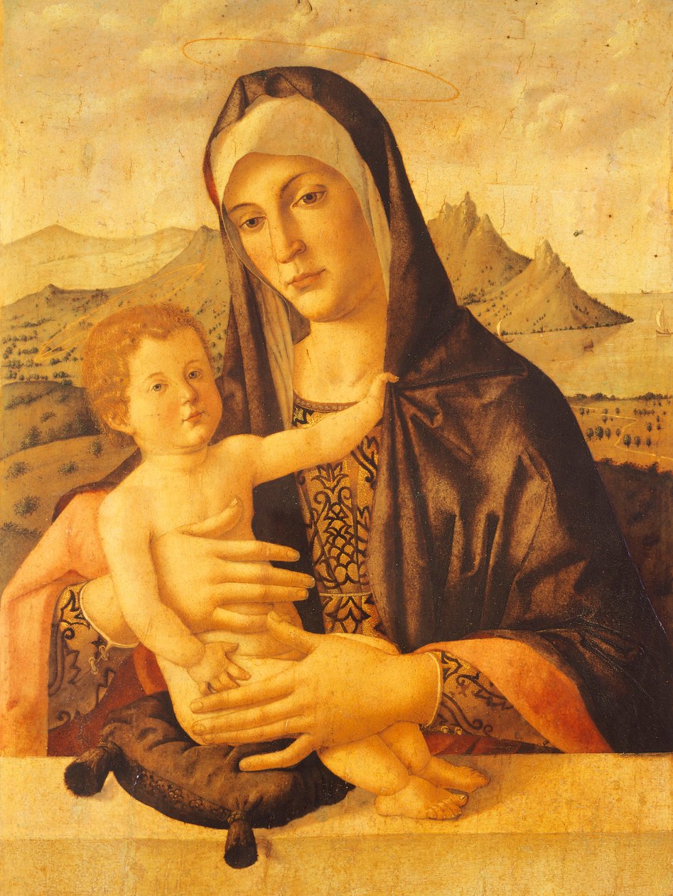 Madonna and Child seated, by Bartolomeo Montagna by Bartolomeo Montagna