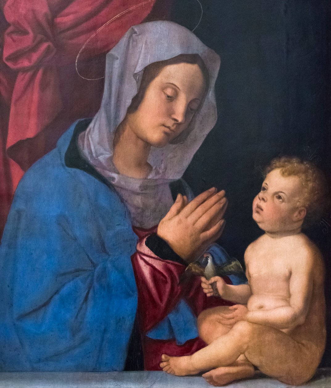 Madonna and Child by Bartolomeo Montagna