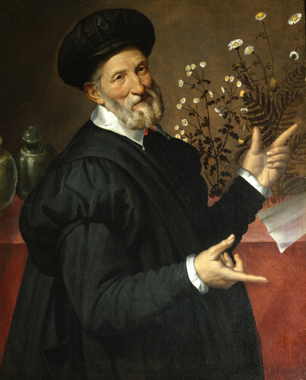 The Botanist by Bartolommeo Passerotti