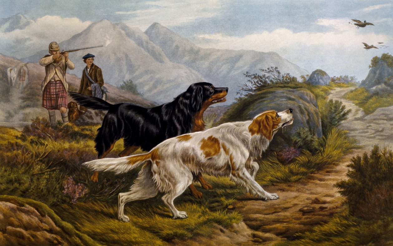 Grouse hunting by Basil Bradley