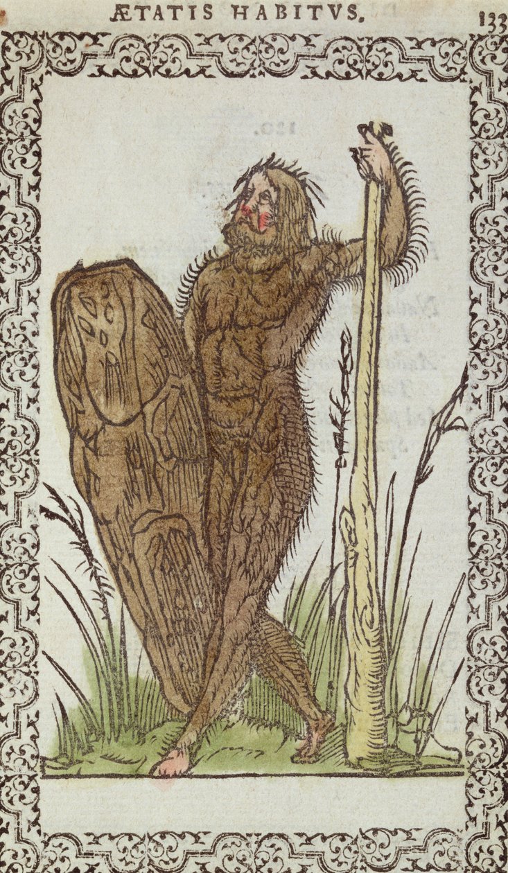 The Wild Man, illustration from Omnium Fere Gentium nostraeque aetatis Nationum Habitus et Effigies by Jean Sluperji, Antwerp, 1572 by Belgian School