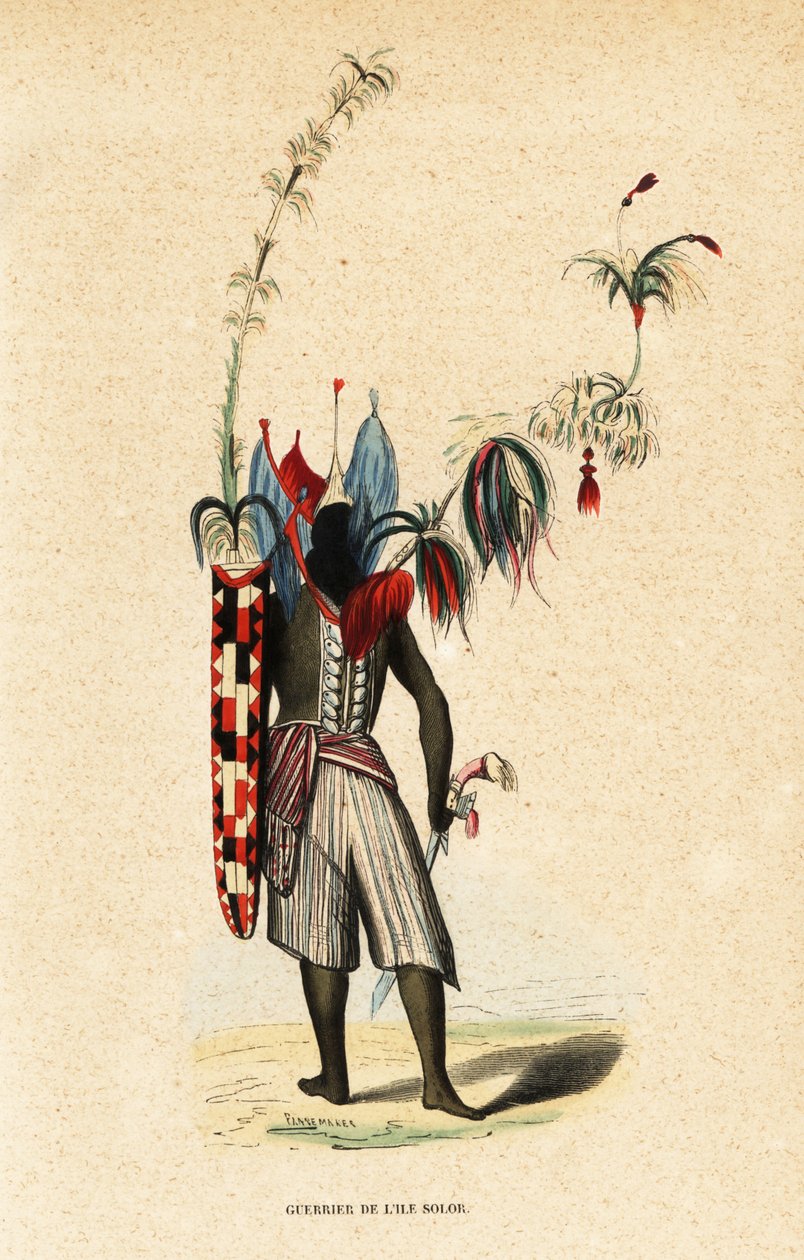 Warrior of Solor Island, Indonesia by Belgian School