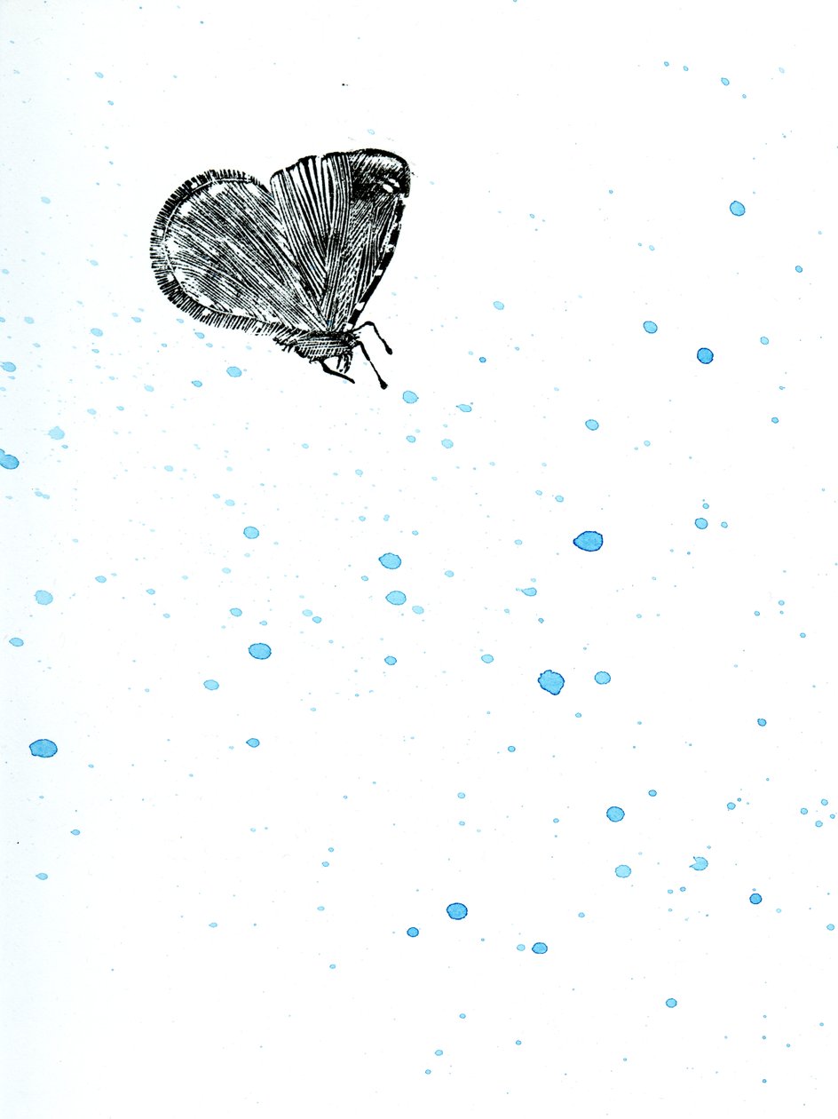 Moth {Fay-erie Dust} by Bella Larsson