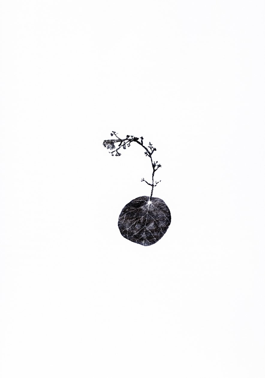 Tug, 2014 by Bella Larsson