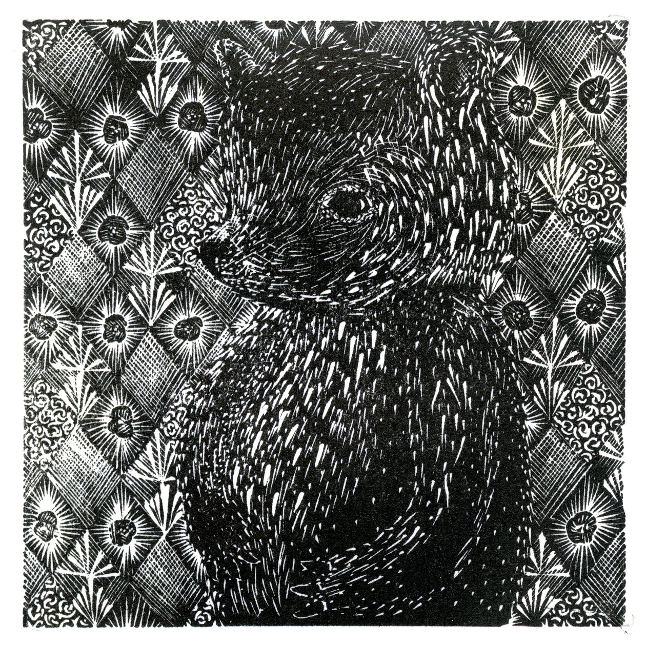 Ursus arctos ssp. domesticus, 2013 by Bella Larsson