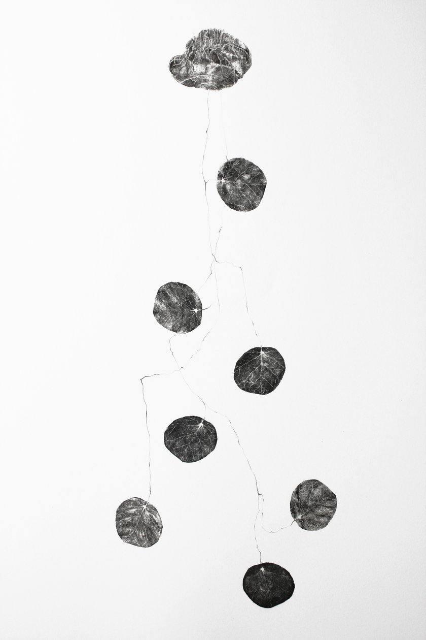 Vessel by Bella Larsson