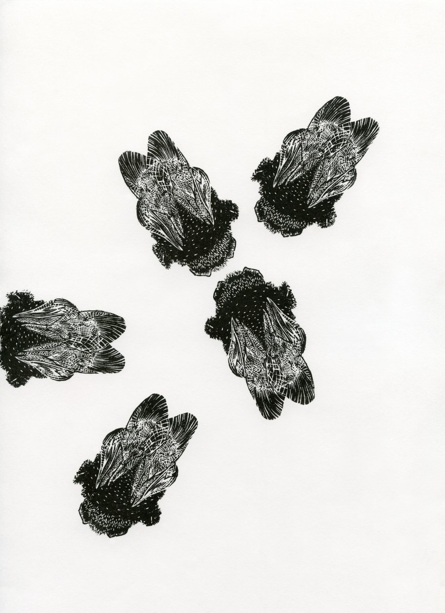 Bumblebees