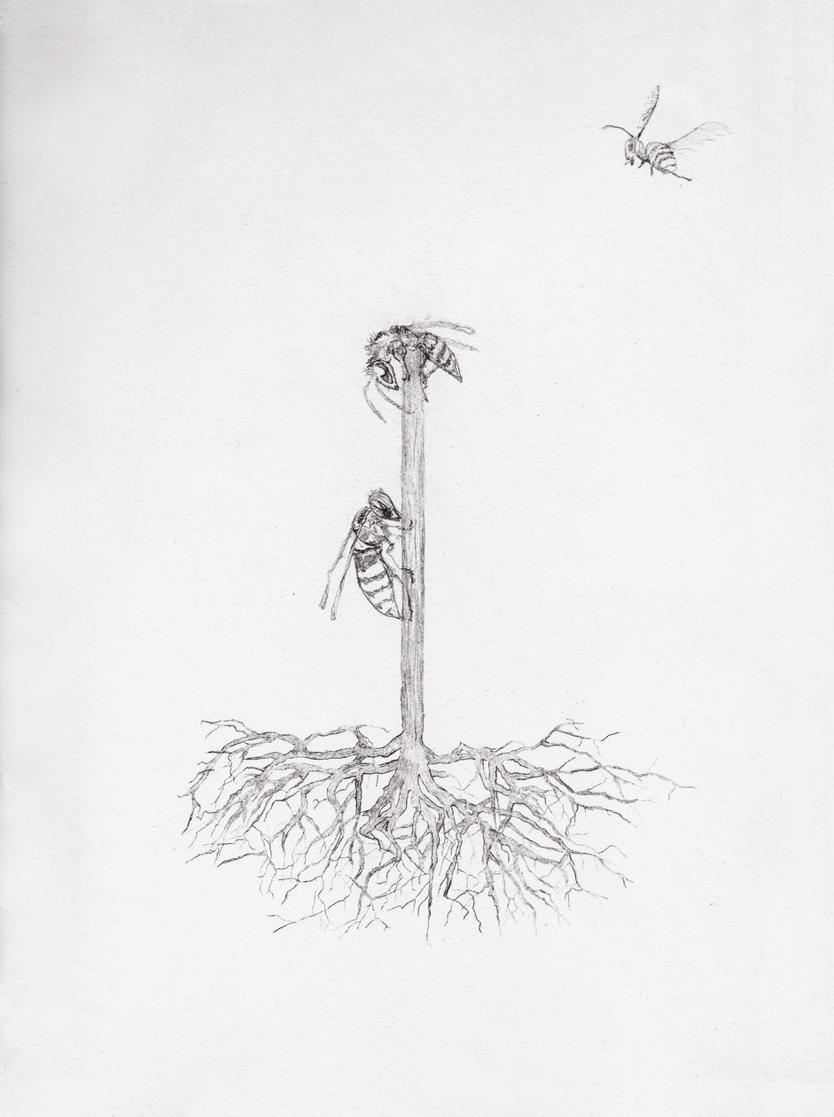 Wasp Tree by Bella Larsson