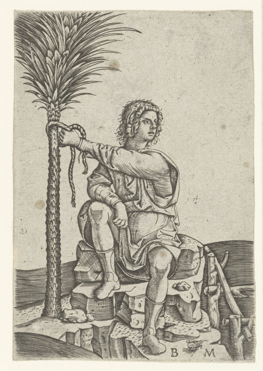 Man Sitting by Palm Tree by Benedetto Montagna