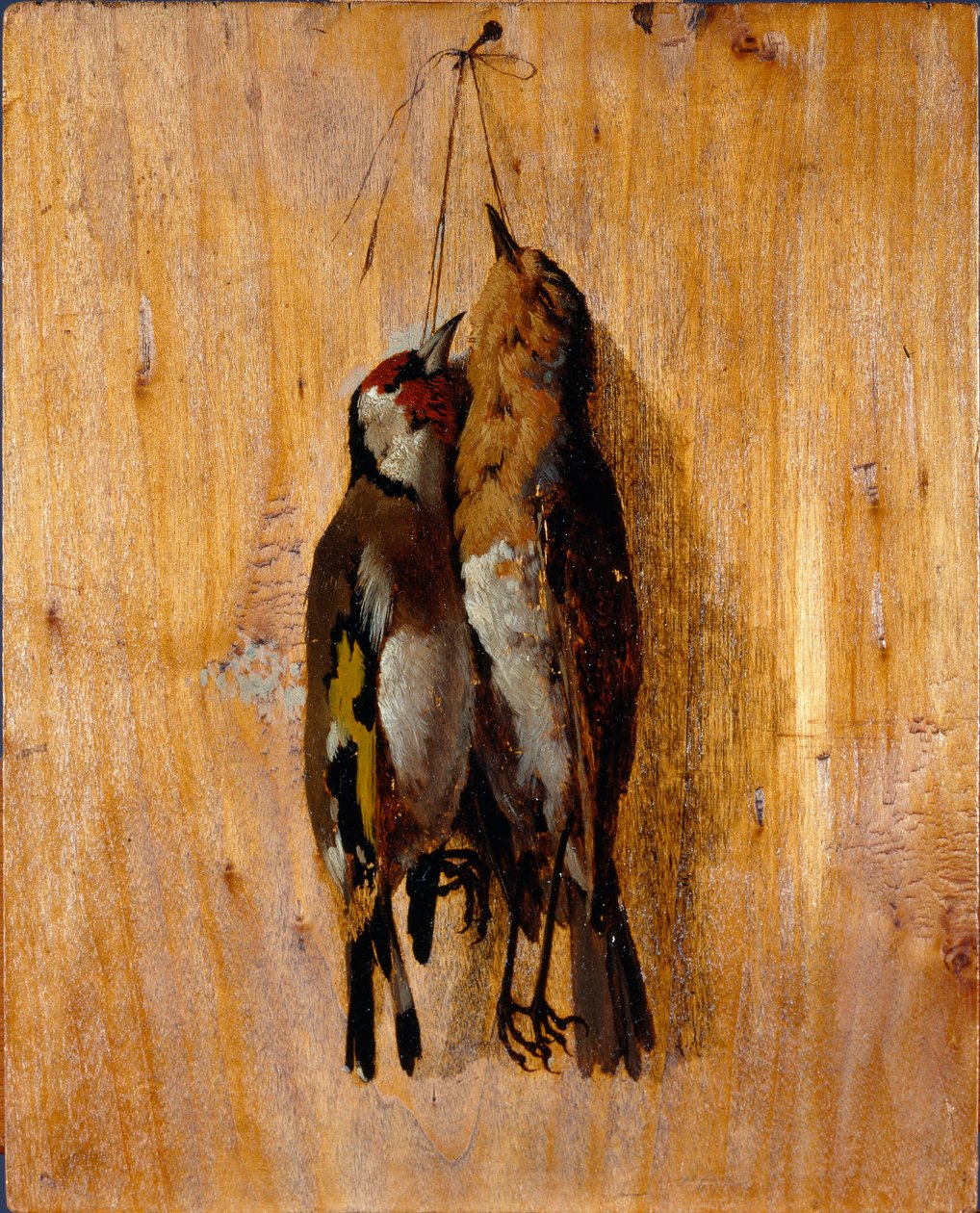 Study of Two Dead Birds Pinned on the Wall by Benedetto Musso