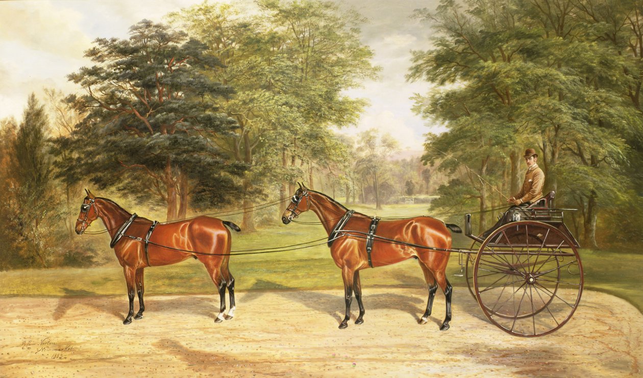 Two Horses, Harnessed in Tandem, Pulling a Carriage by Benjamin Cam Norton