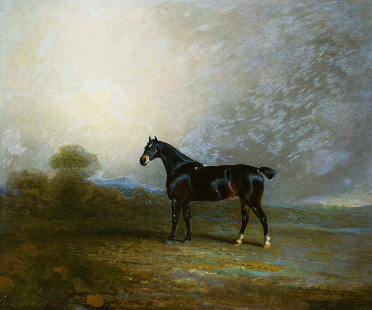 Bembo, a Favourite Hunter of Charles Shuttleworth, Esq., 1802 by Benjamin Marshall