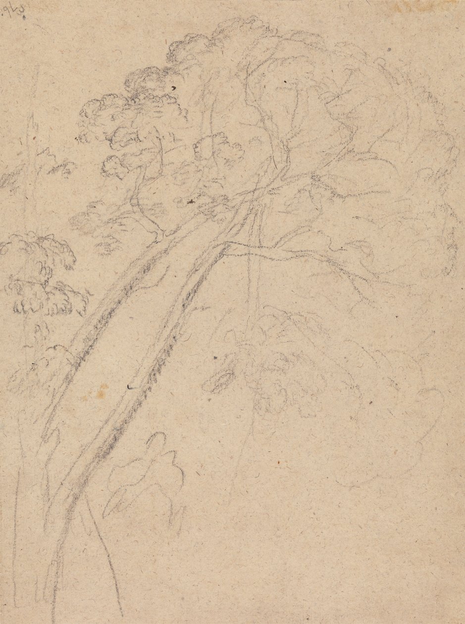 Costume Study for the Portrait of a Lady by Benjamin West