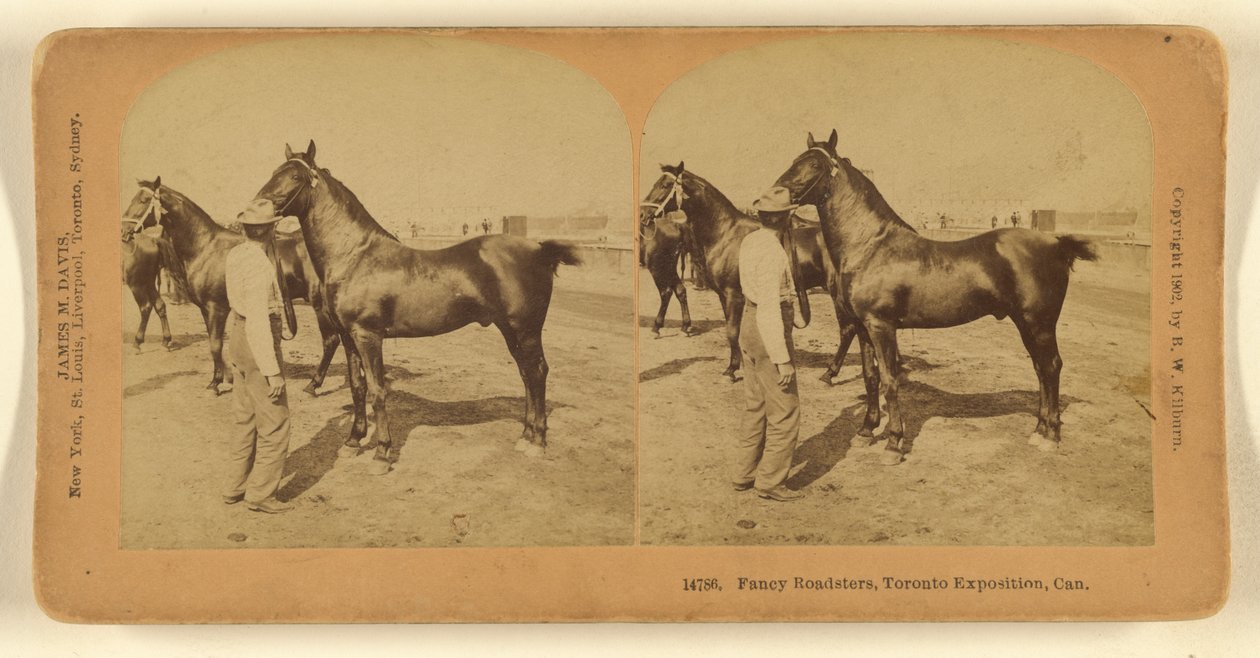 Fancy Roadsters, Toronto Exposition, Canada by Benjamin West Kilburn
