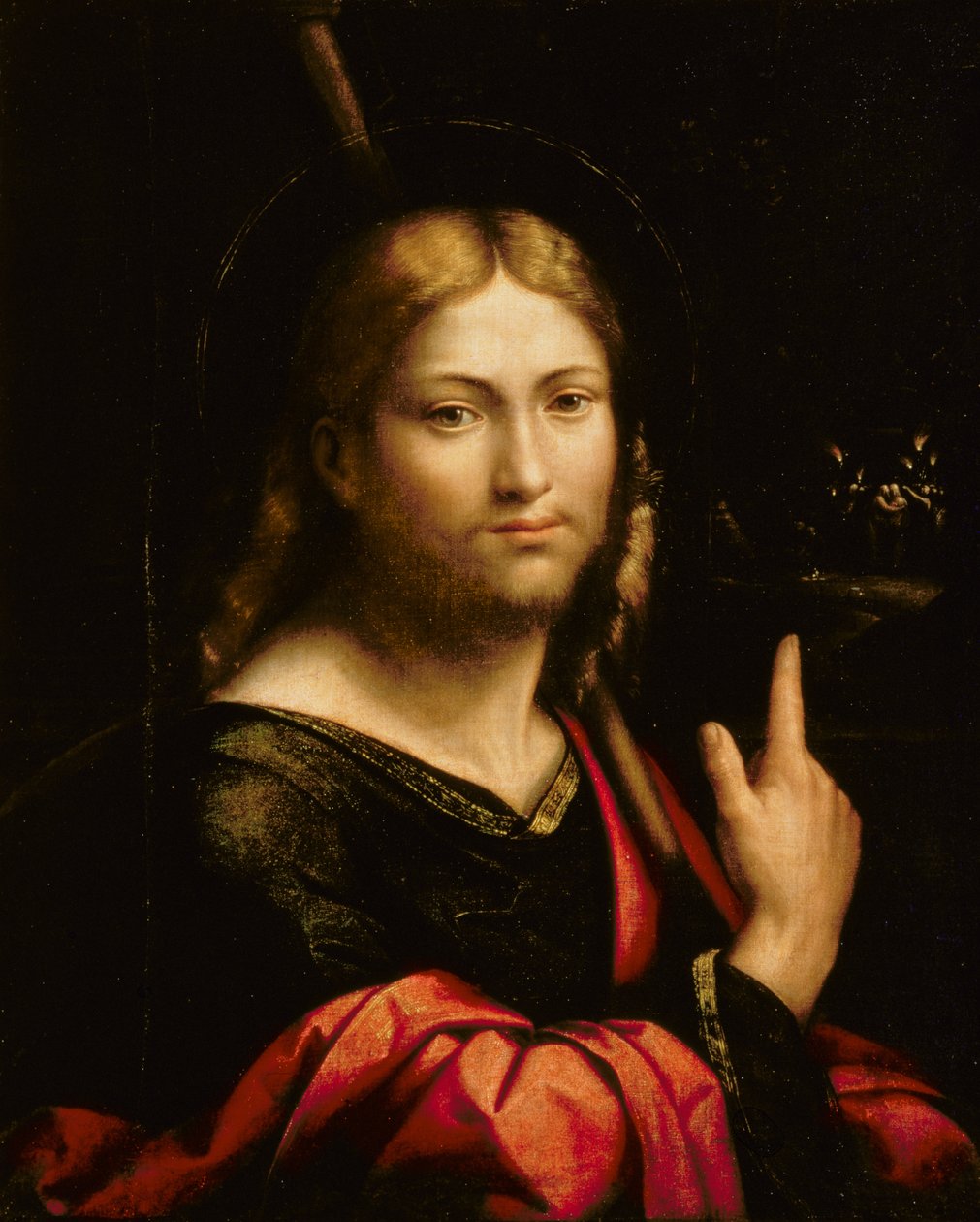 St. James the Greater by Benvenuto Tisi da Garofalo