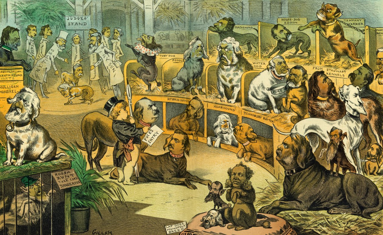 Our national dog-show, 1883 by Bernard Gillam