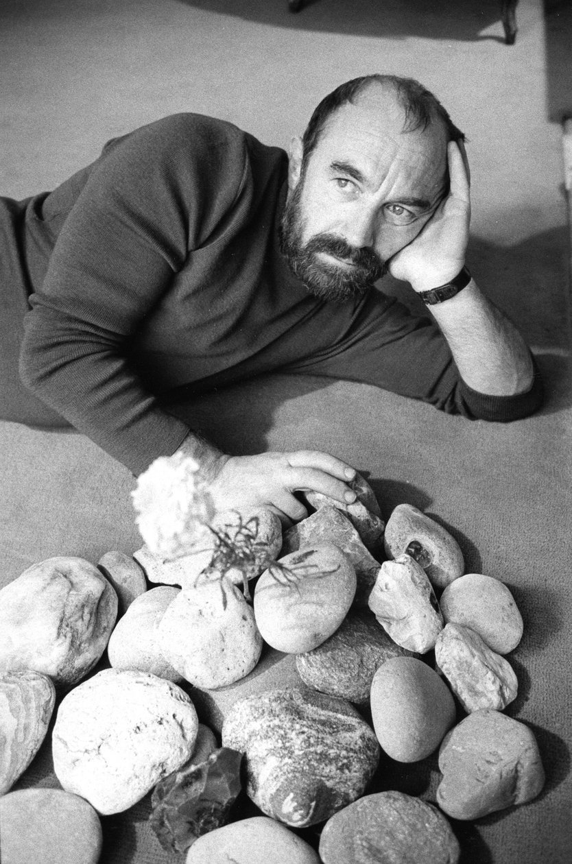 Bernard Parmegiani by Bernard Perrine