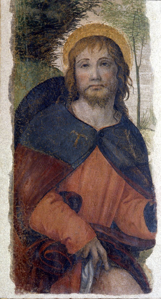 Representation of Saint Rocco (Roch). Fresco of the school of Bernardino de Scapis known as Bernardino Luini (1485-1532). 16th century by Bernardino (school of) Luini