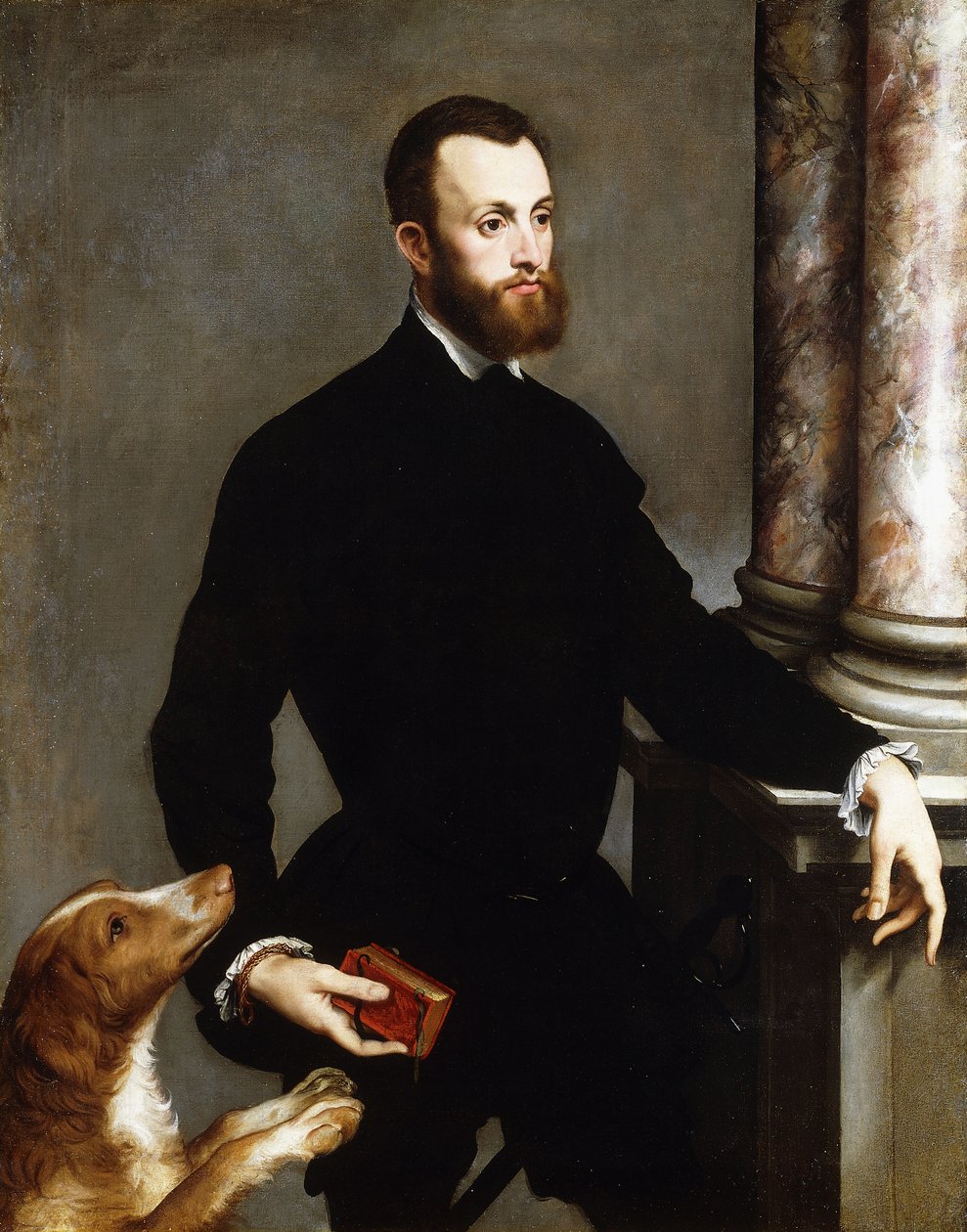 Portrait of a Gentleman, Standing three-quarter length, wearing a black costume and holding a book by Bernardino Campi