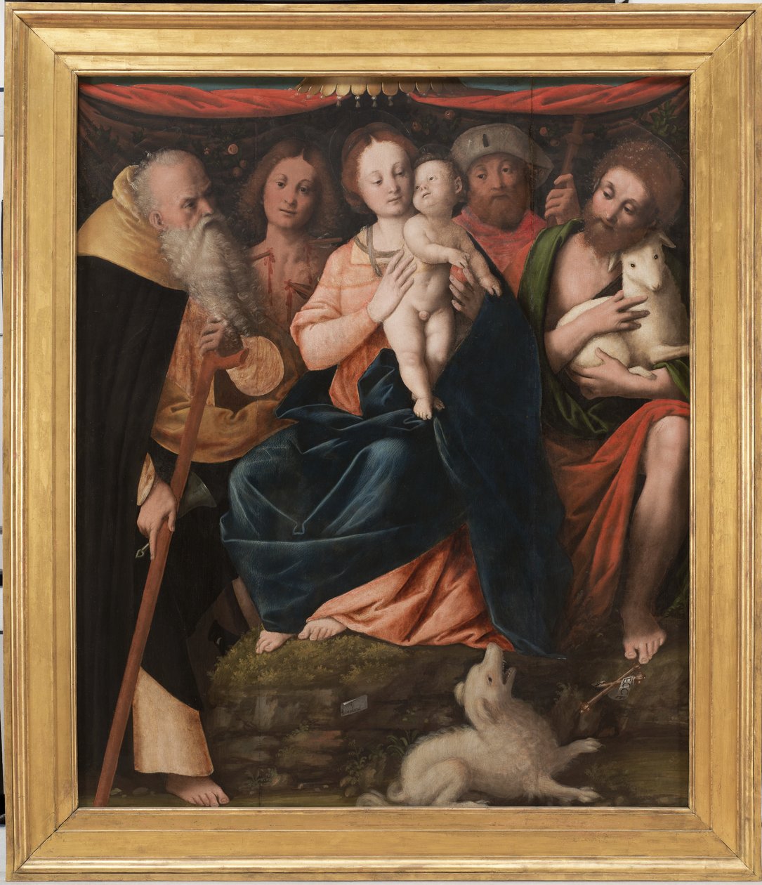 Madonna and Child with Saints Anthony Abbot, Sebastian, Rocco and John the Baptist by Bernardino Lanino