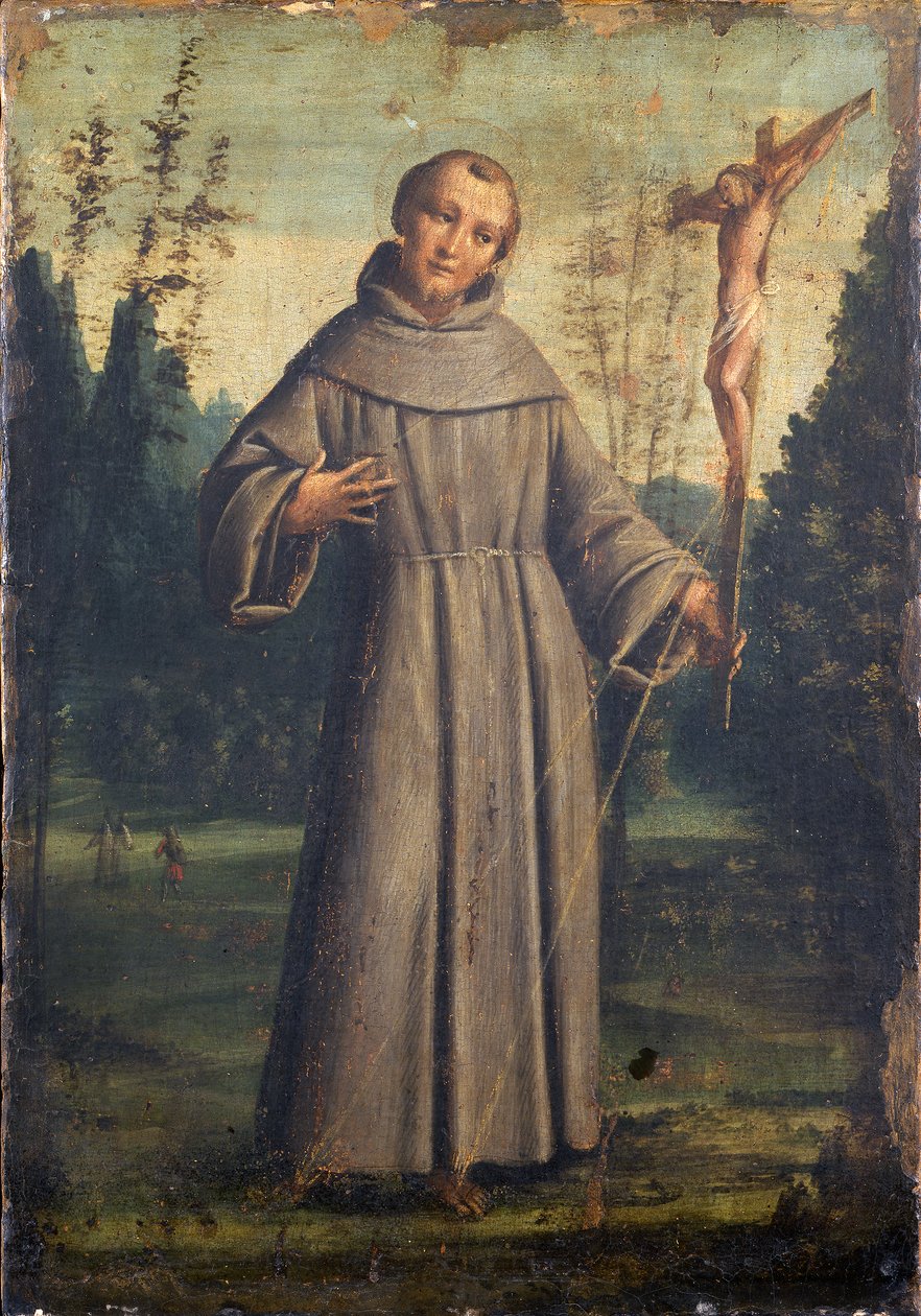 Saint Francis of Assisi by Bernardino Lanino