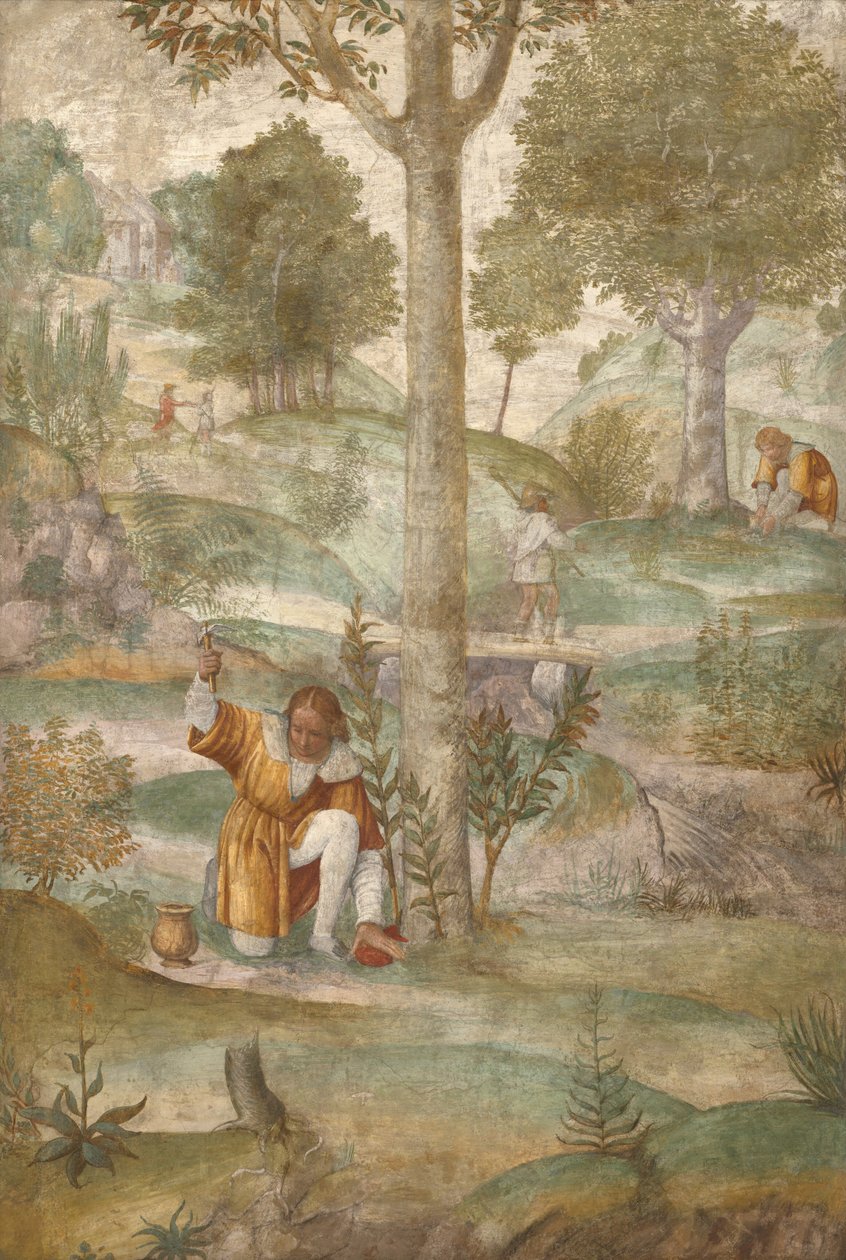 Cephalus Hiding the Jewels by Bernardino Luini