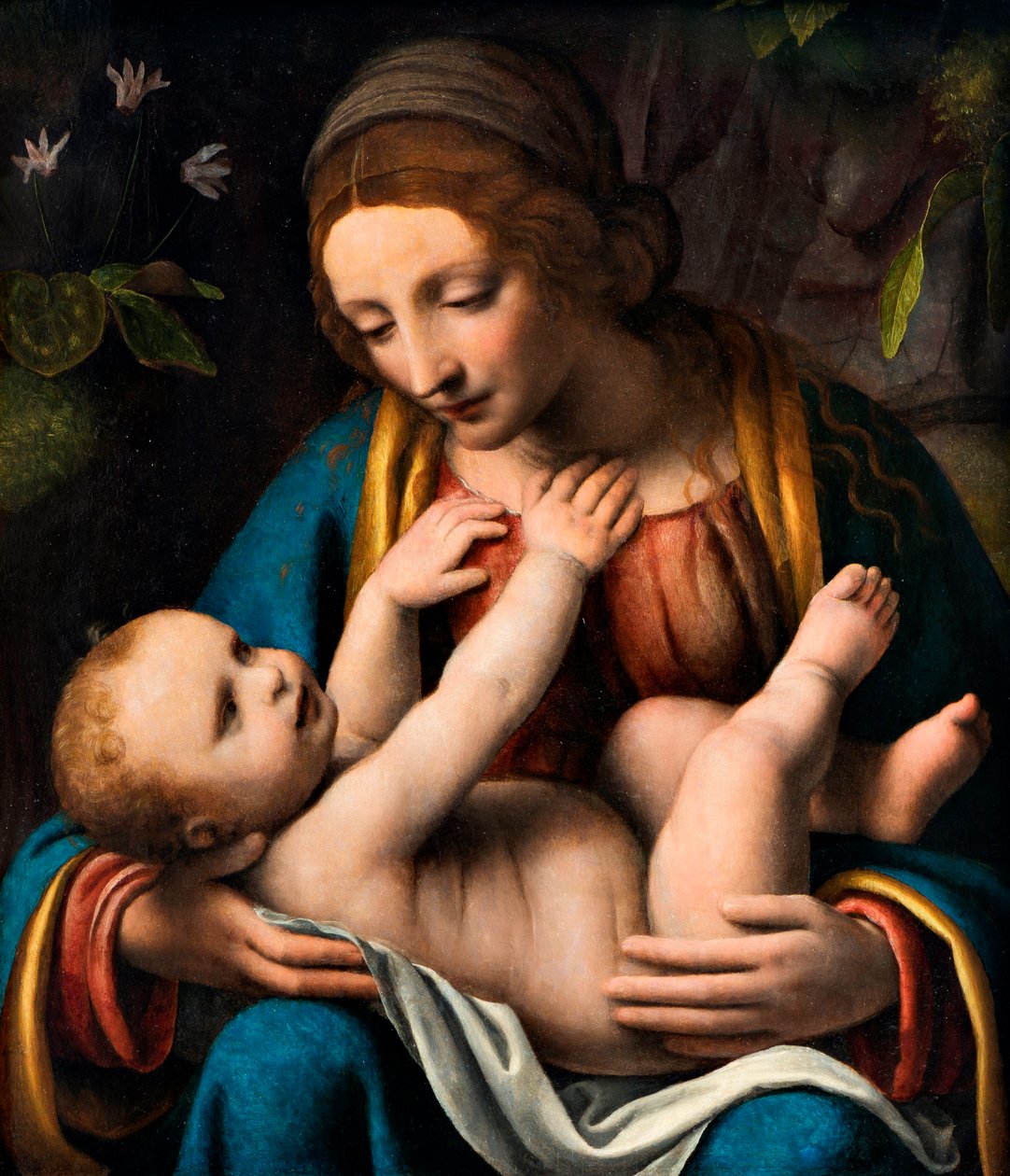 Madonna and Child by Bernardino Luini: Buy fine art prints