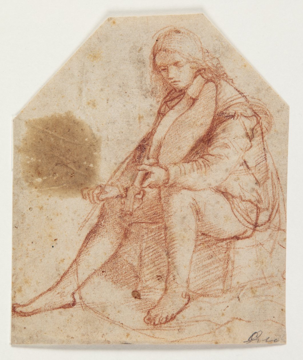 Seated Youth with Viola by Bernardino Luini