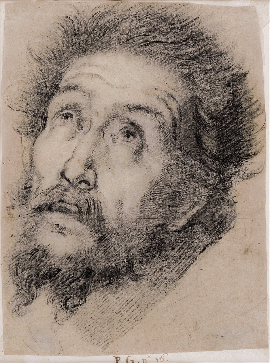 Study for St Francis of Assisi Adoring the Cross by Bernardo Strozzi