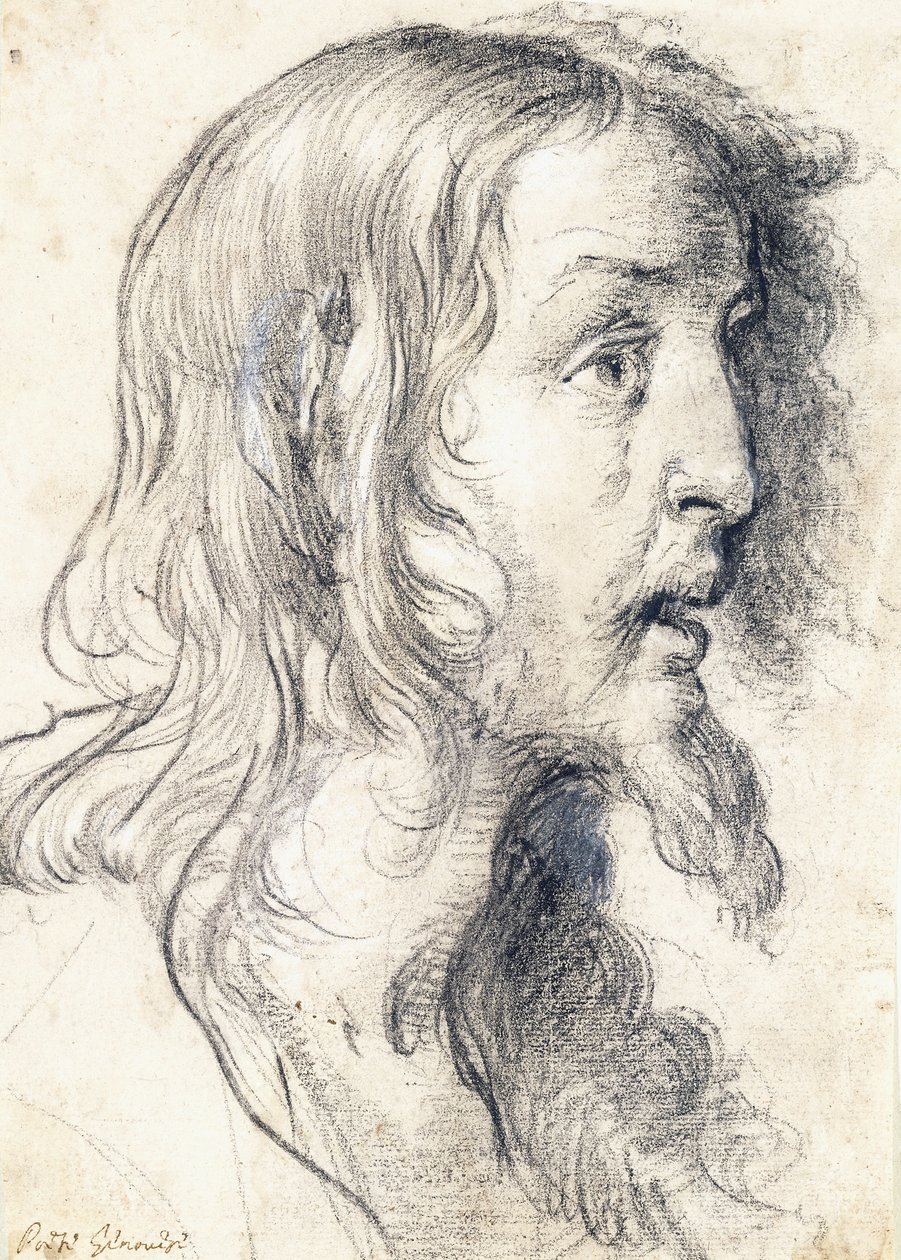 The Head of Christ in Profile to the Right by Bernardo Strozzi