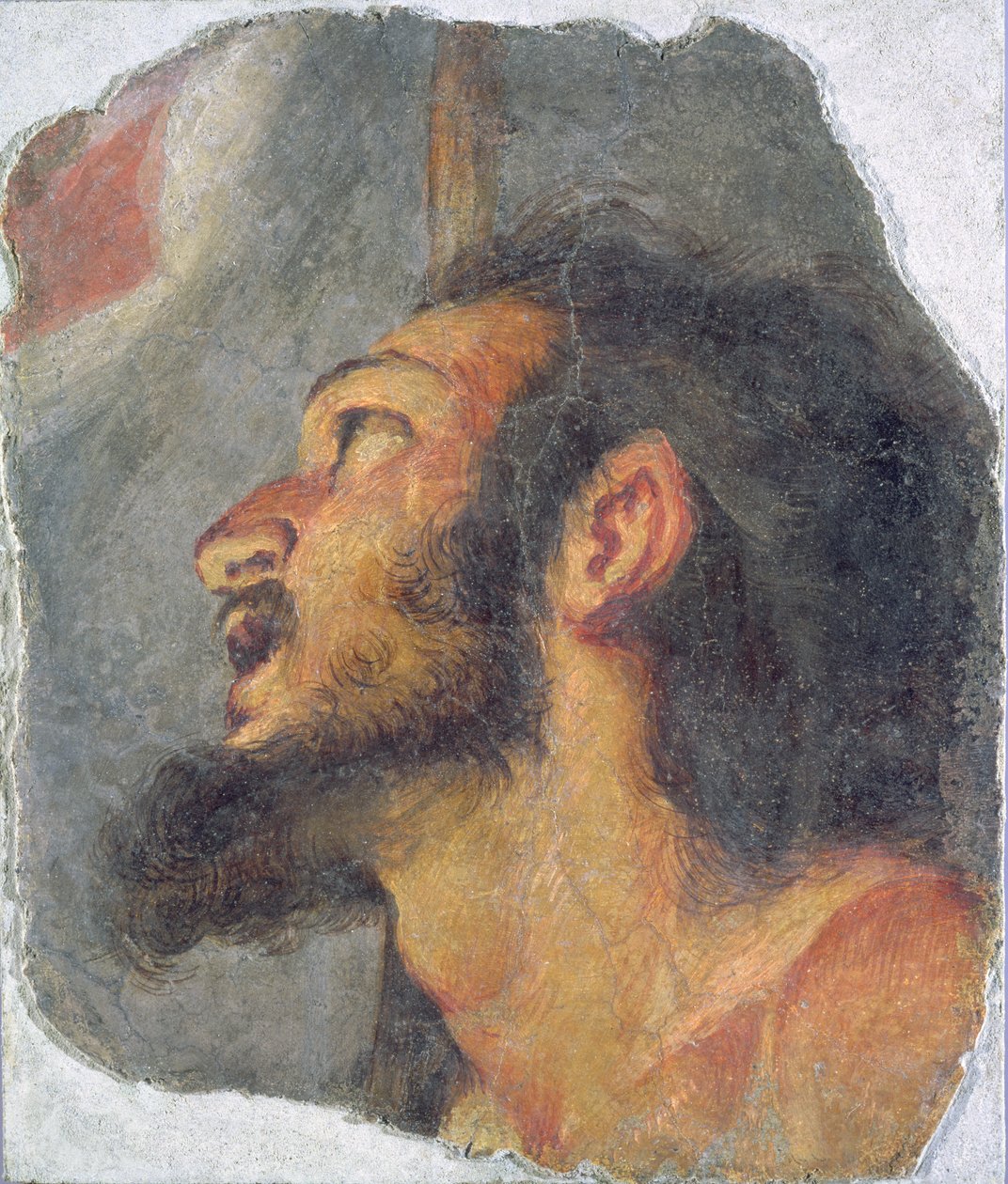 The Head of St. John the Baptist, Fragment from a Fresco by Bernardo Strozzi