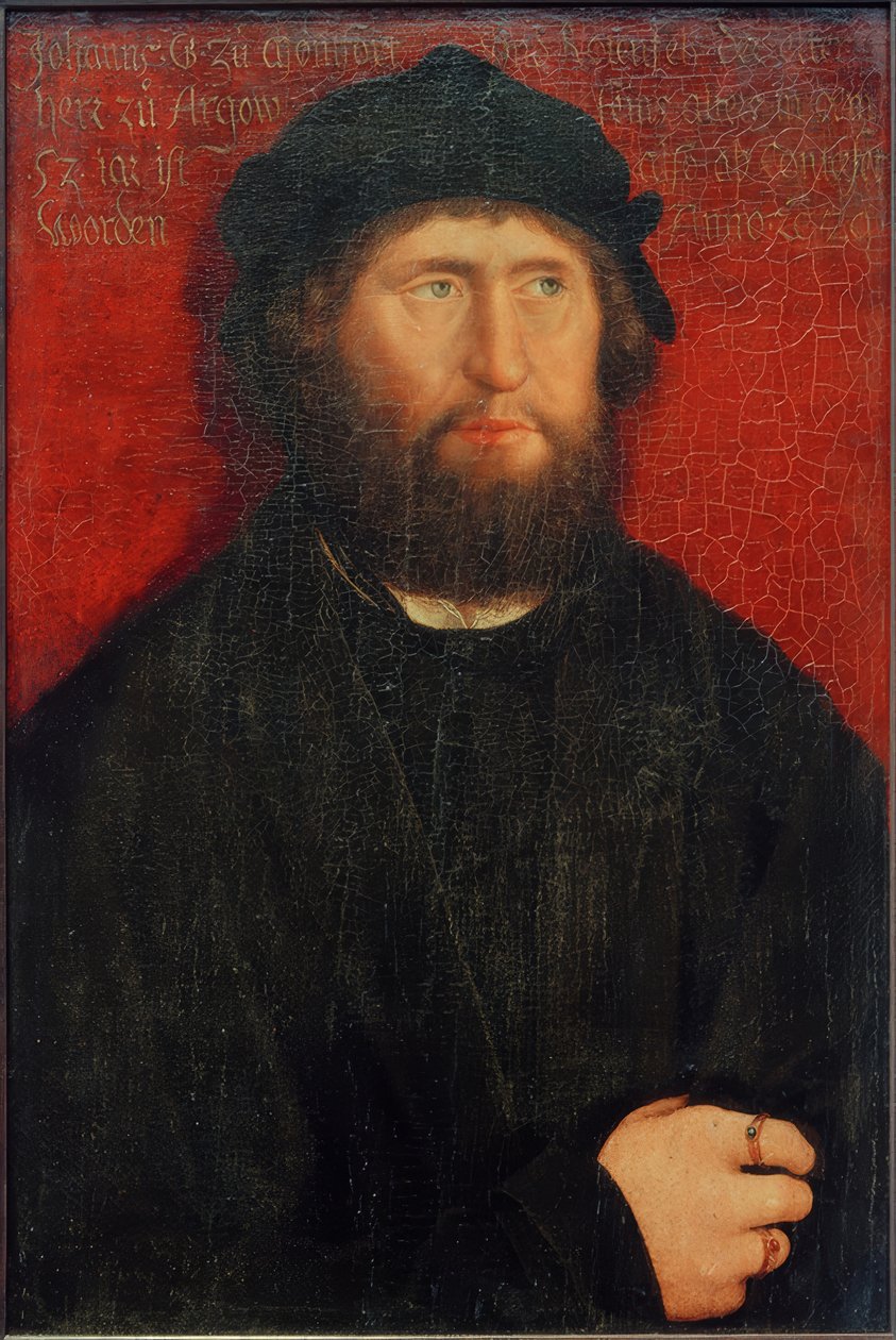 Portrait of Johann I, Count of Montfort-Rothenfels by Bernhard Strigel