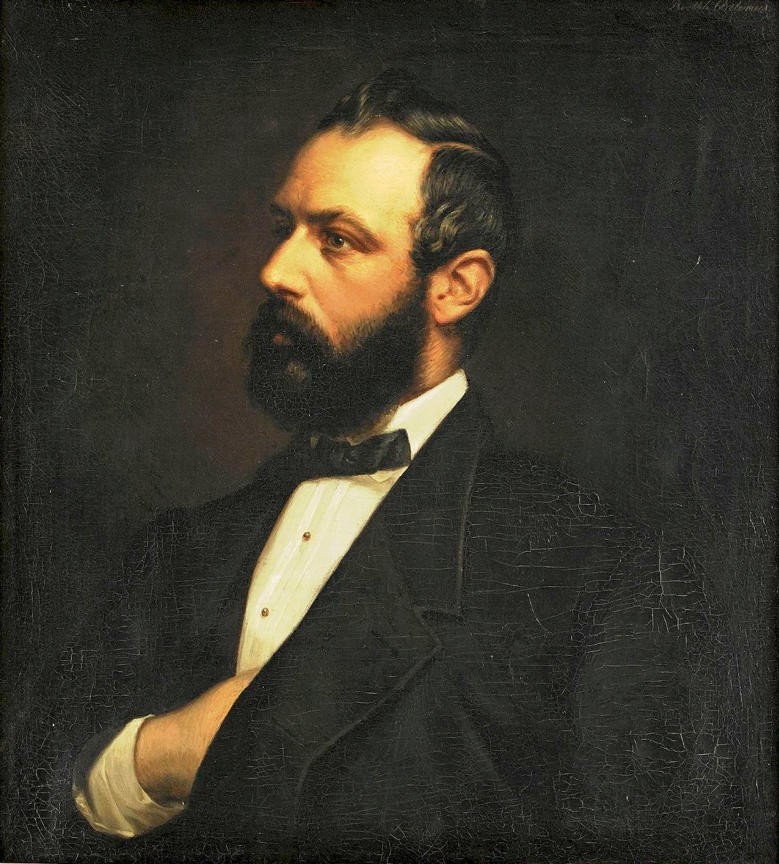 Portrait of Karl XV by Bertha Valerius