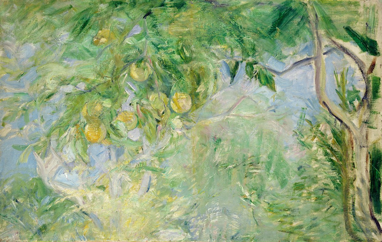 Orange Tree Branches, 1889 by Berthe Morisot
