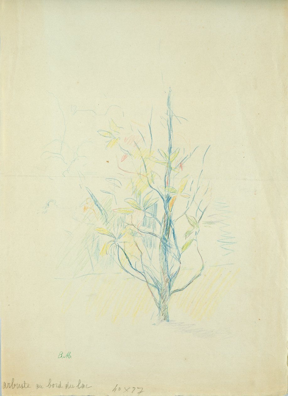 Bushes by the lake, 1893 by Berthe Morisot