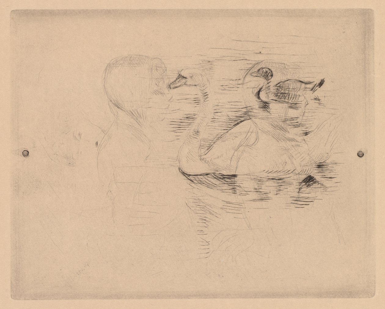 Swan and Duck, with portraits of Julie by Berthe Morisot