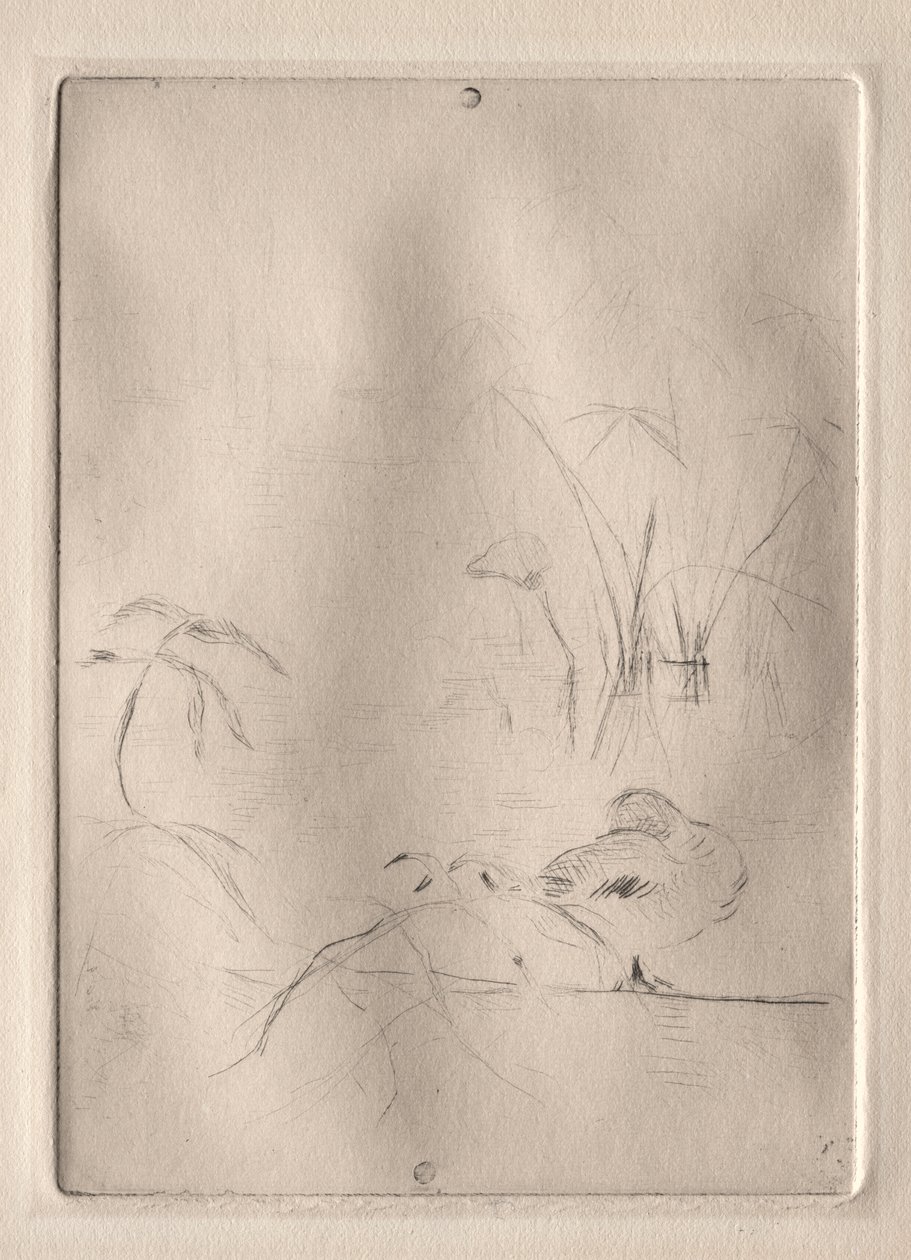 The Duck by Berthe Morisot