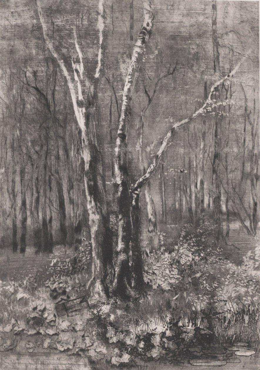Woods in the Park near Monza by Bianchi Mose