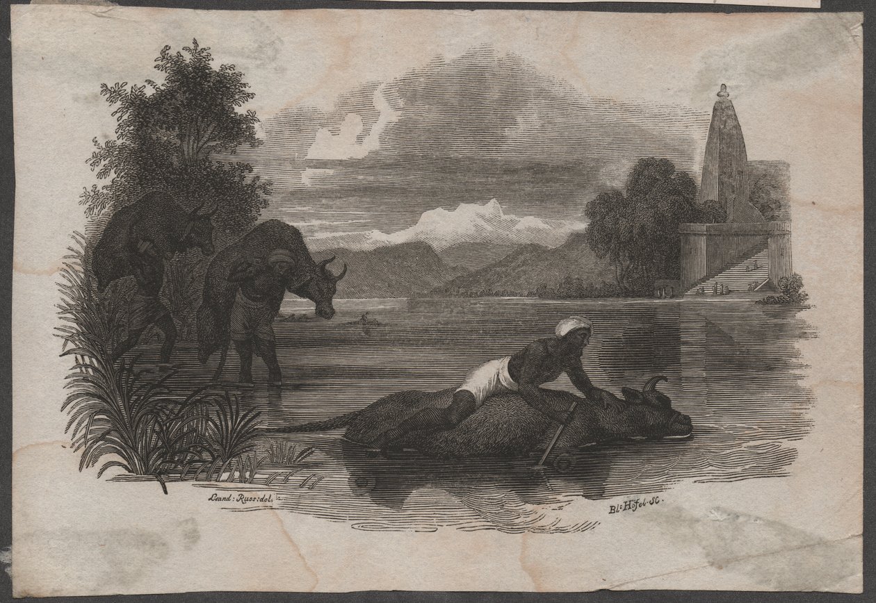 Farmers carry dead cattle, ca. 1850 by Blasius Höfel