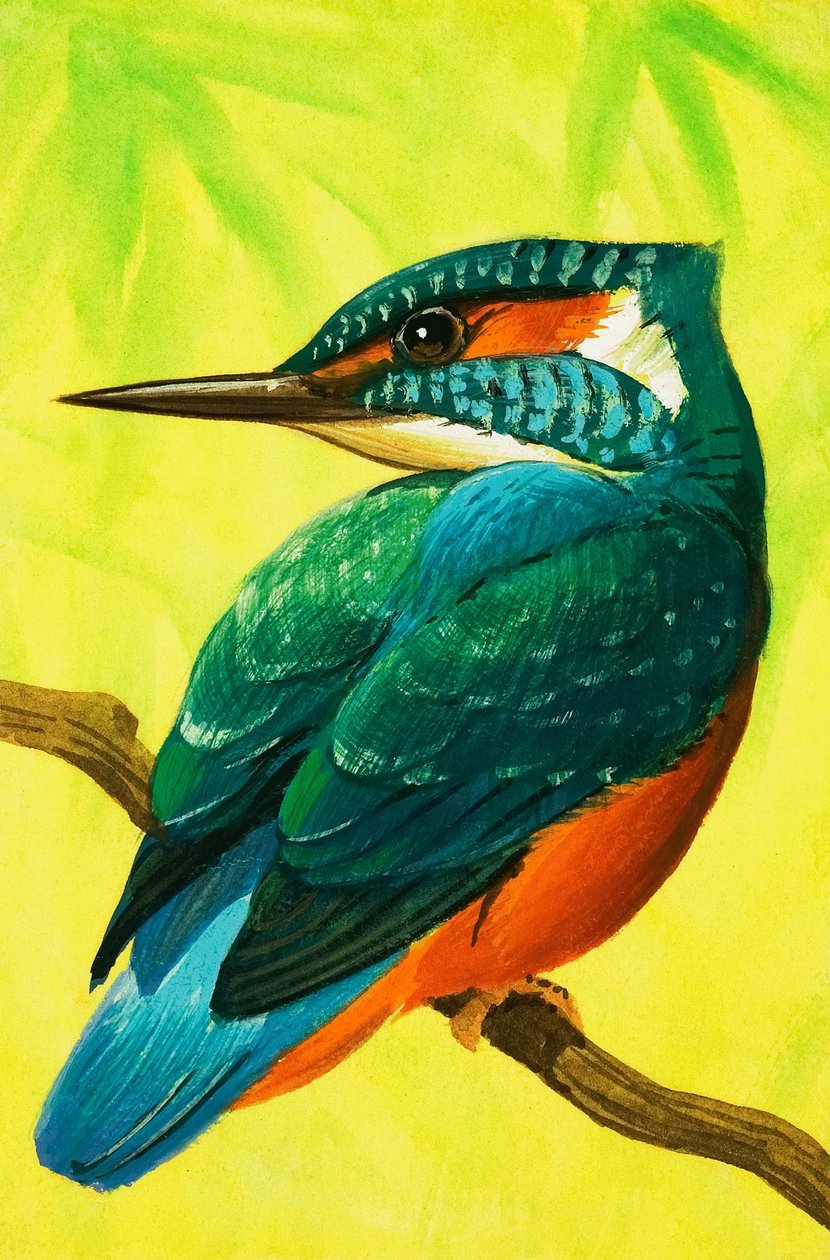 Kingfisher by Bob Hersey