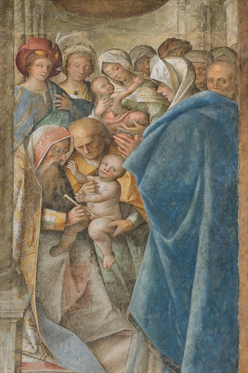 Central Nave, Fourth North Span, Circumcision (detail) by Boccaccio Boccaccino