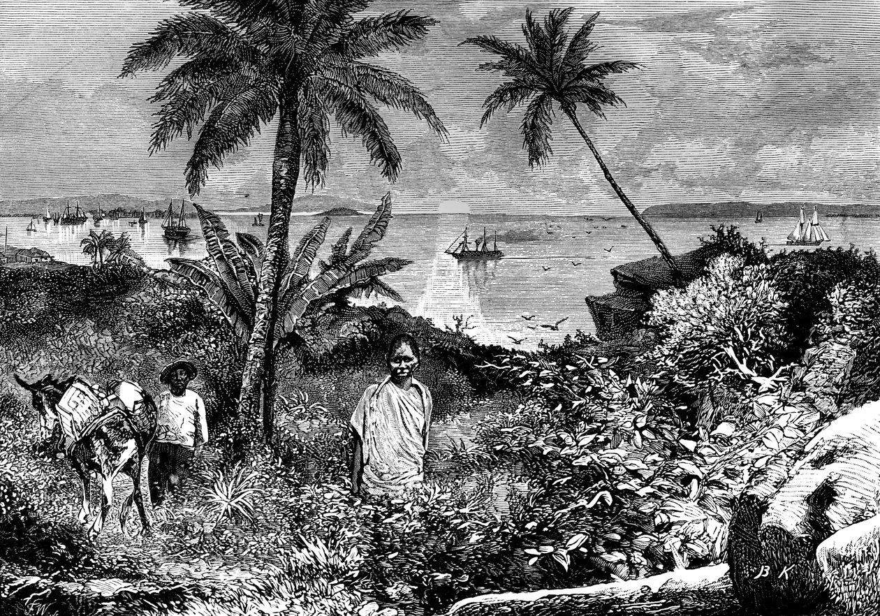 The Bay of Panama by Bohuslav Kroupa